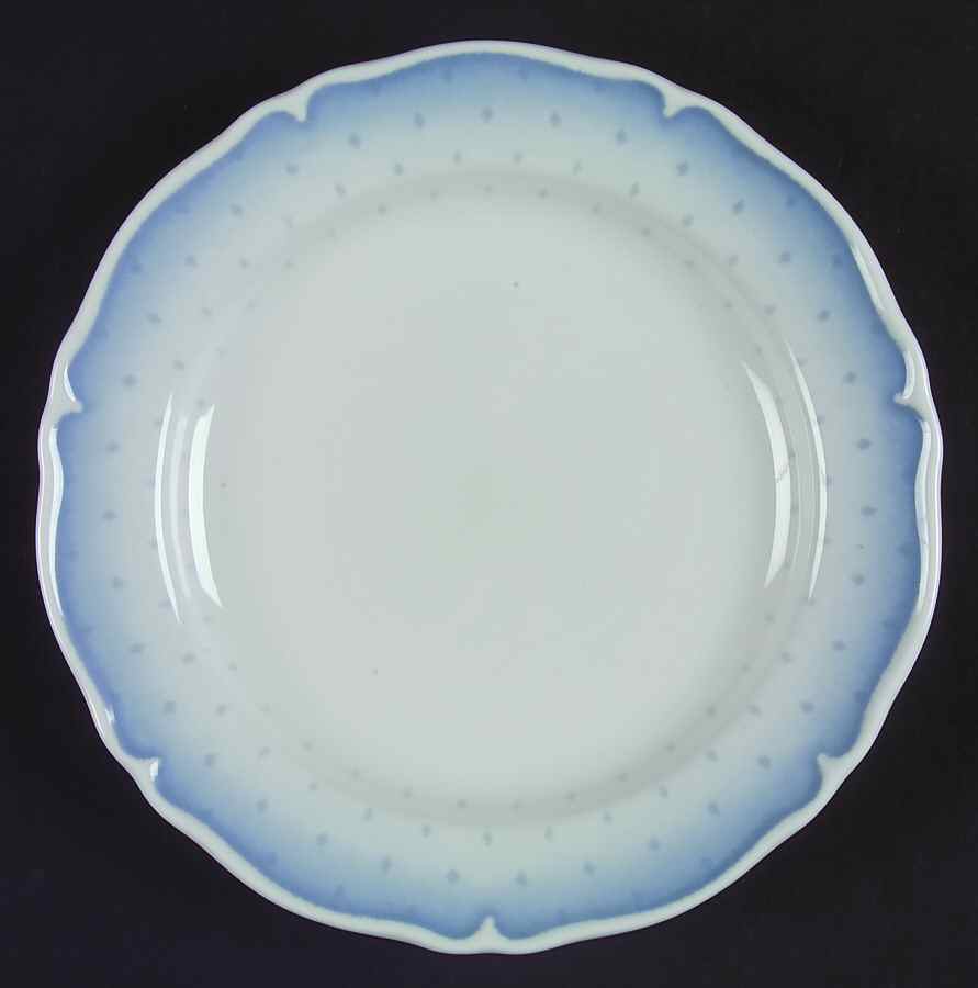 Vintage Chic Luncheon Plate by Royal Worcester-1