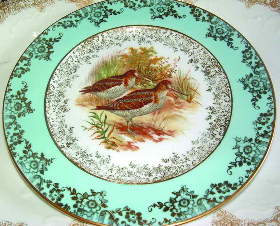 R1533 Dinner Plate by Rosenthal - Continental-1