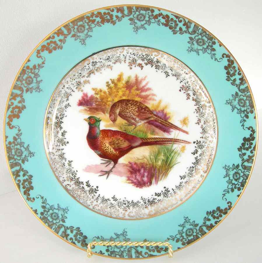 R1533 Dinner Plate by Rosenthal - Continental-1