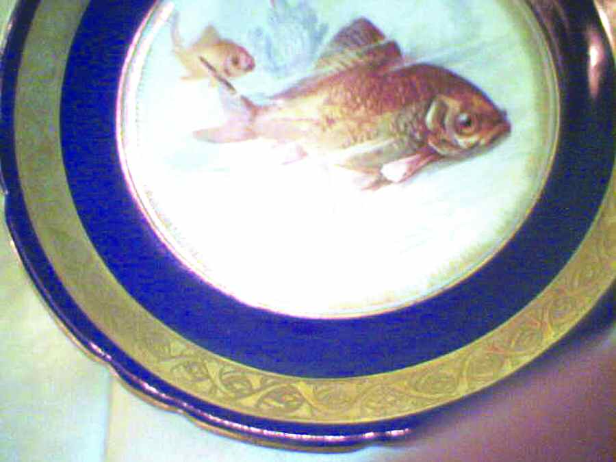 ROB346 Luncheon Plate by Royal Bayreuth-1
