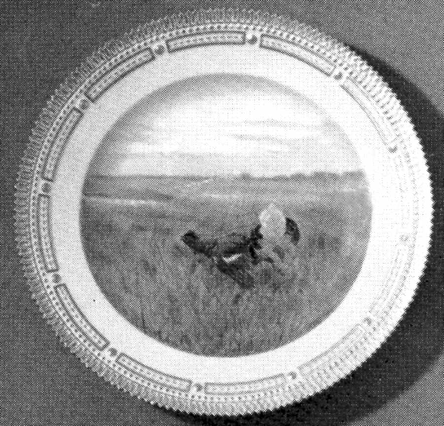 Flora Danica Game Series (Birds) Dinner Plate by Royal Copenhagen-1