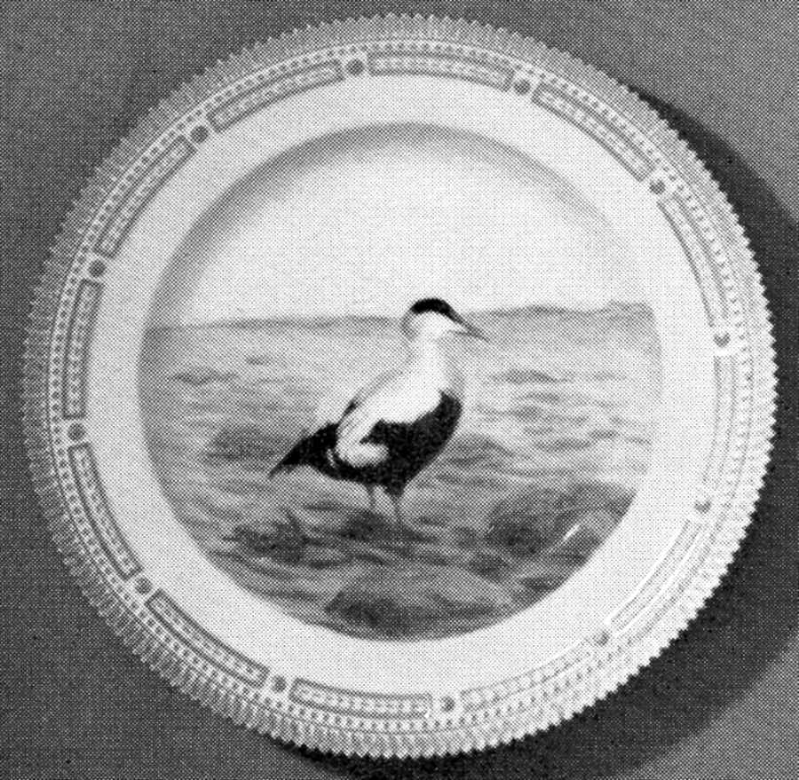 Flora Danica Game Series (Birds) Dinner Plate by Royal Copenhagen-1