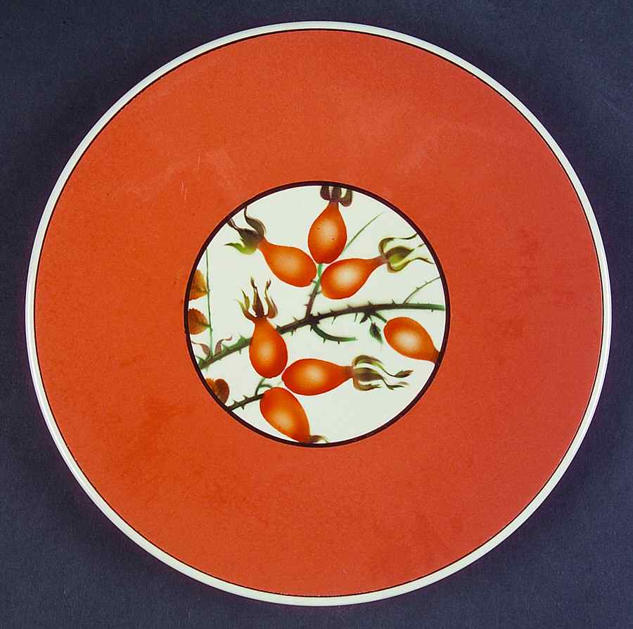 1484-8 Salad Plate by Royal Copenhagen-1