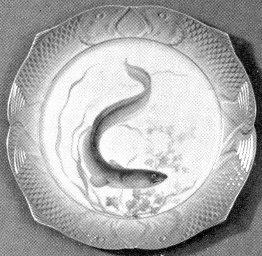 Fish Service (Blue Border) Luncheon Plate by Royal Copenhagen-1