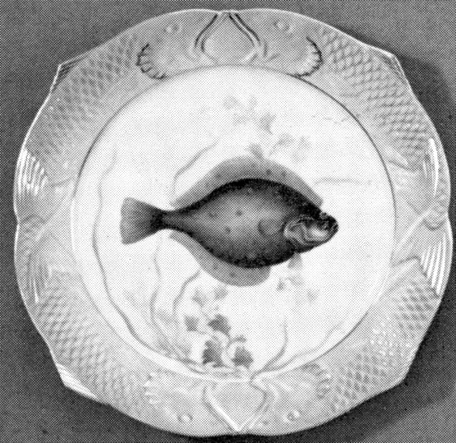 Fish Service (Blue Border) Luncheon Plate by Royal Copenhagen-1