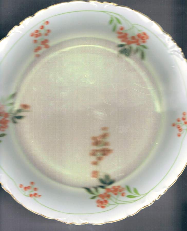 R1548 Dinner Plate by Rosenthal - Continental-1