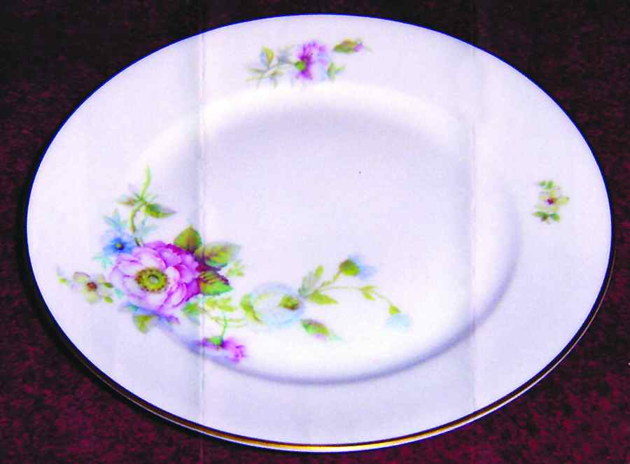 3289 Bread & Butter Plate by Rosenthal - Continental-1