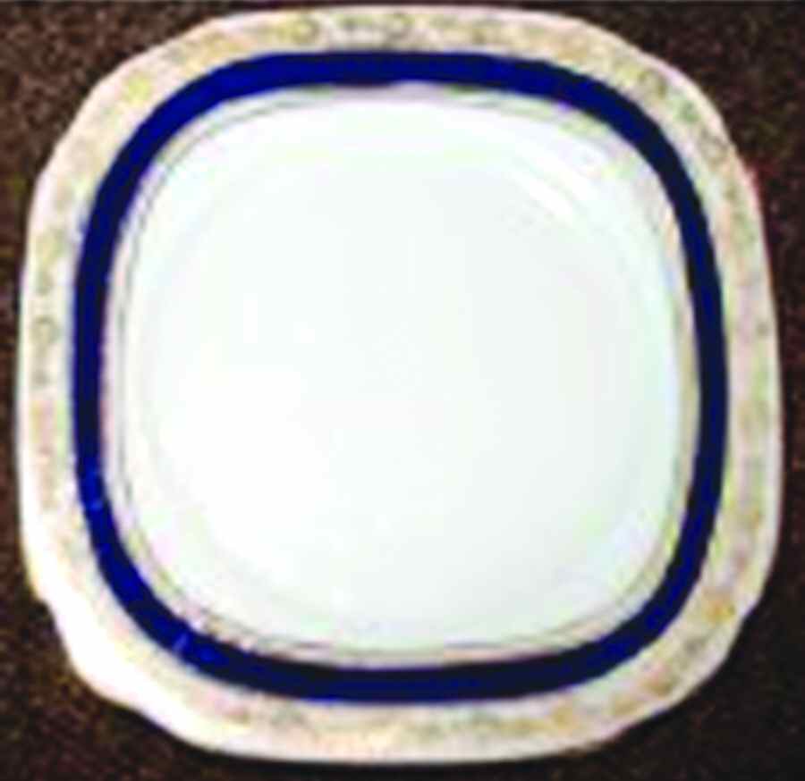 ROA174 Square Salad Plate by Royal Albert-1