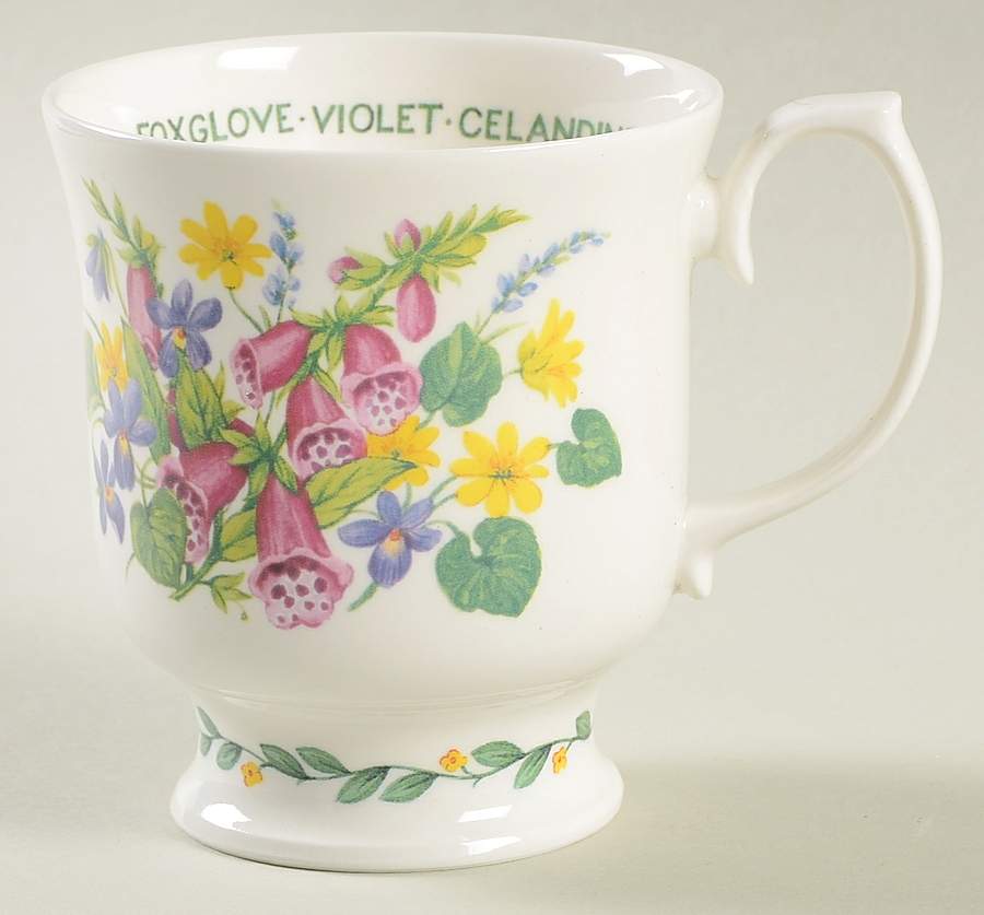 Herbs N' Spices Mug by Roy Kirkham-1