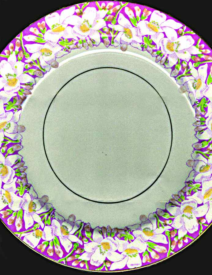 RSY23 Dinner Plate by Royal Sealy-1