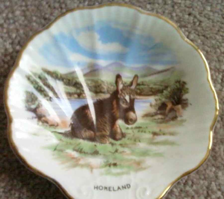 Homeland Small Shell Shaped Dish by Royal Tara-1