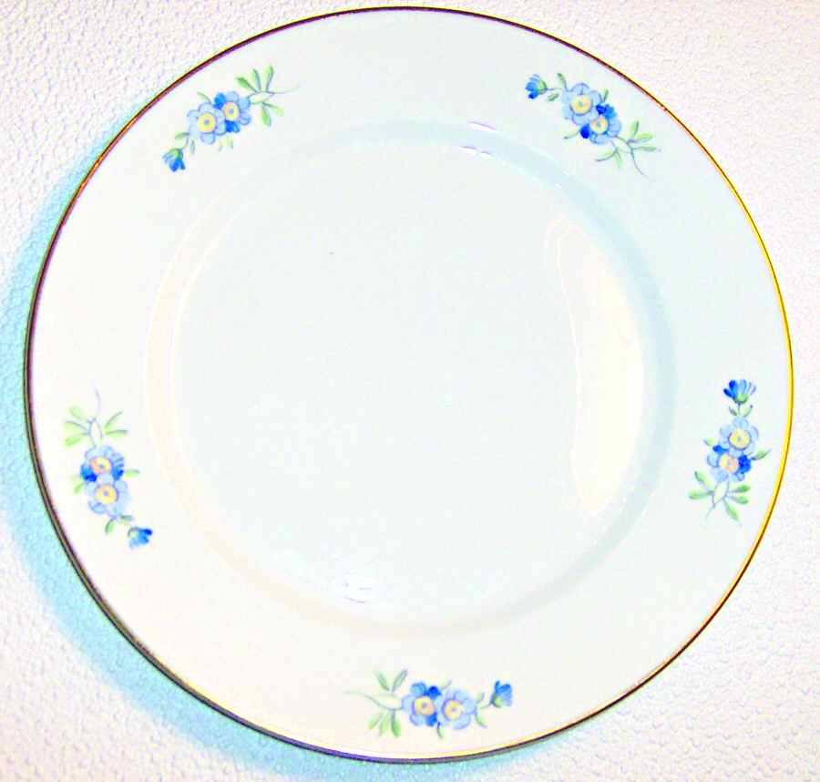 R1581 Dinner Plate by Rosenthal - Continental-1