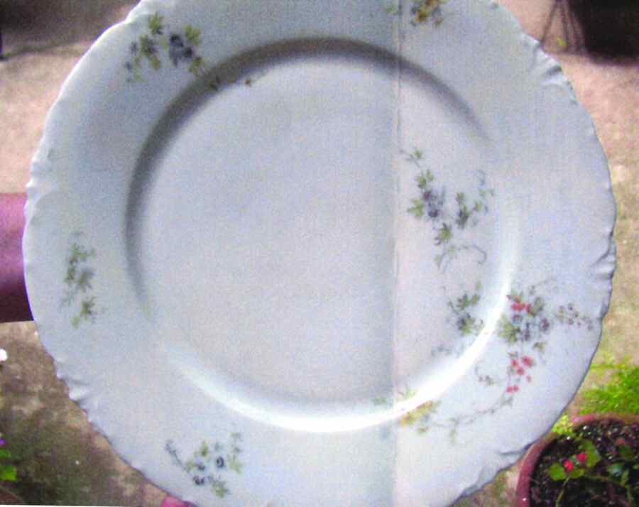 R1588 Dinner Plate by Rosenthal - Continental-1