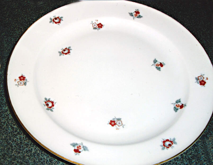 R1592 Salad Plate by Rosenthal - Continental-1