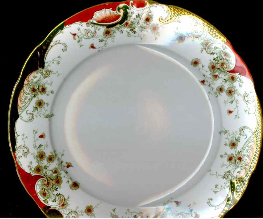 A8589 Dinner Plate by Royal Doulton-1