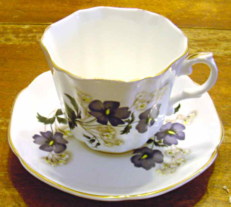 1410 Flat Cup & Saucer Set by Royal Grafton-1