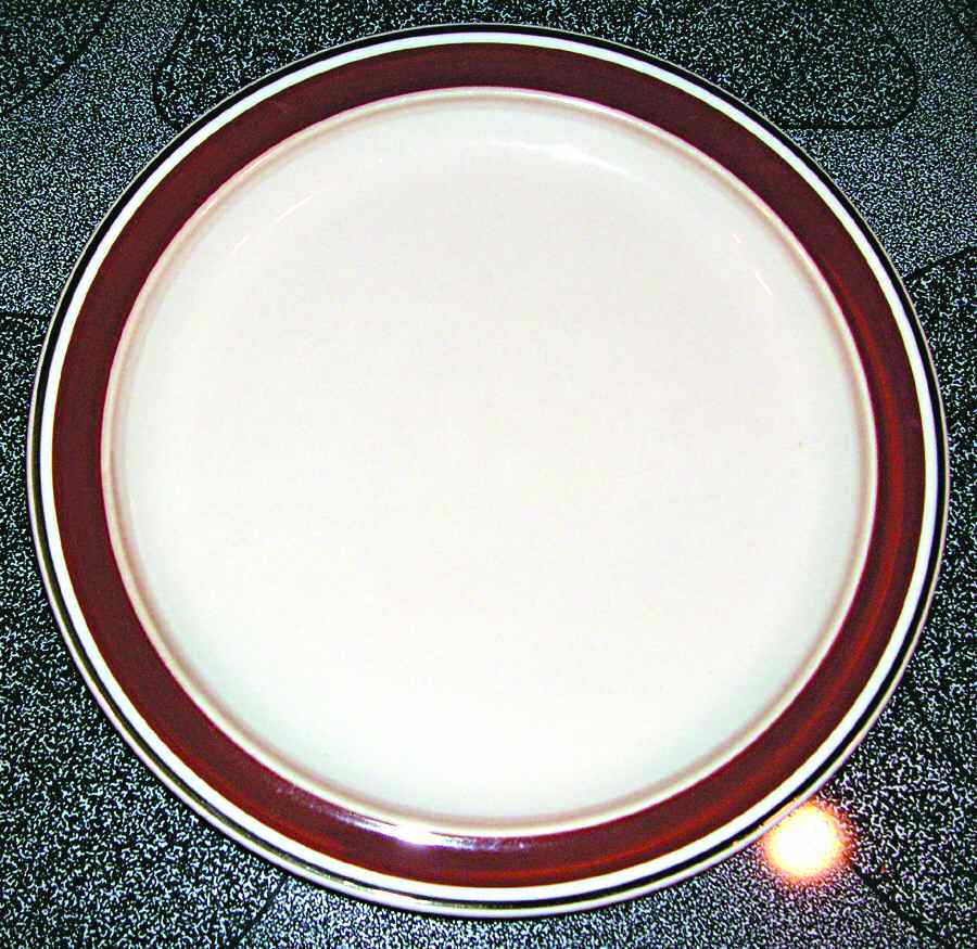 Tempo Brown Dinner Plate by Raintree-1