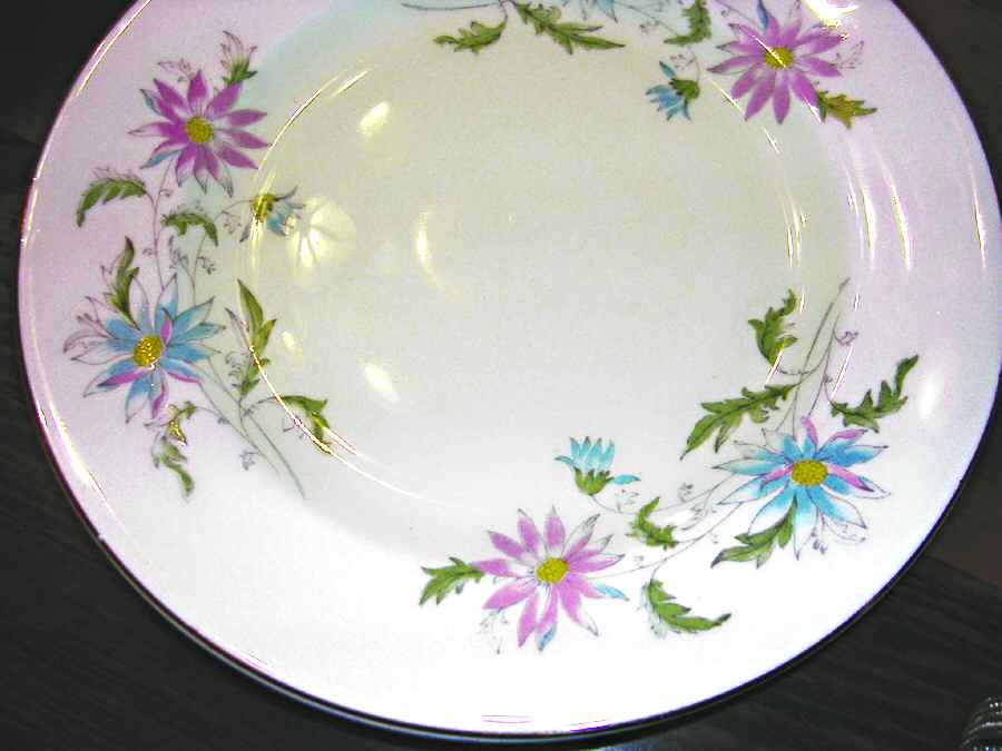 Summer's Day Dinner Plate by Royal Grafton-1
