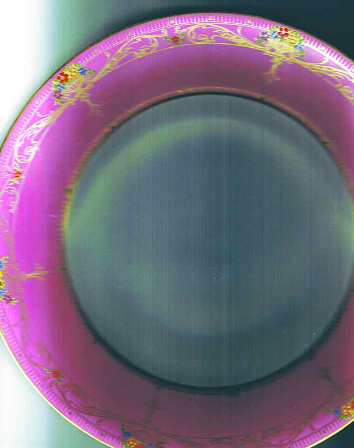 C2485 Dinner Plate by Royal Worcester-1