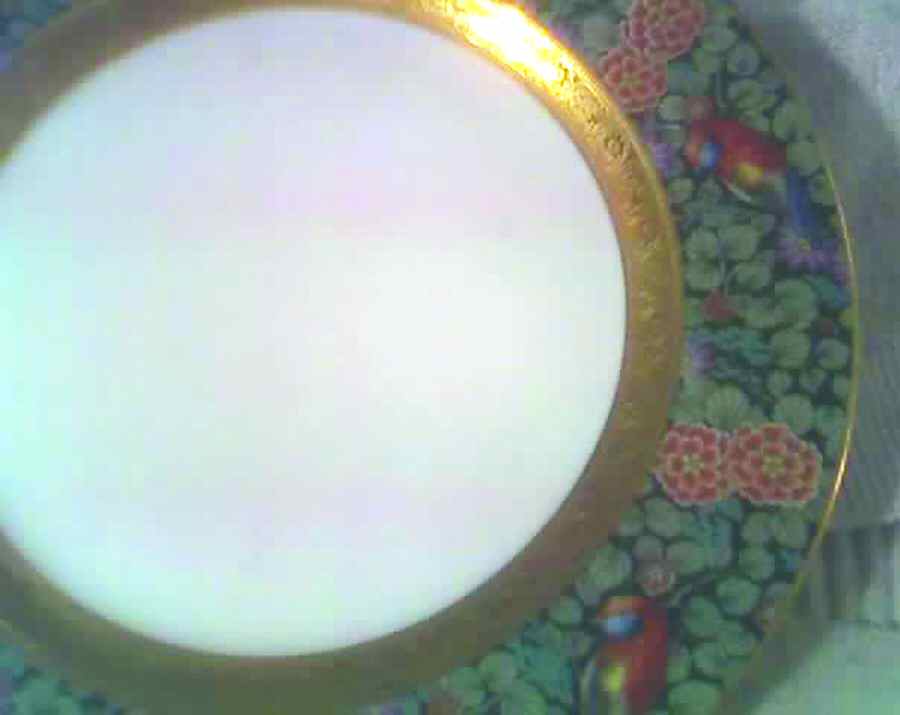 R1630 Dessert/Pie Plate by Rosenthal - Continental-1
