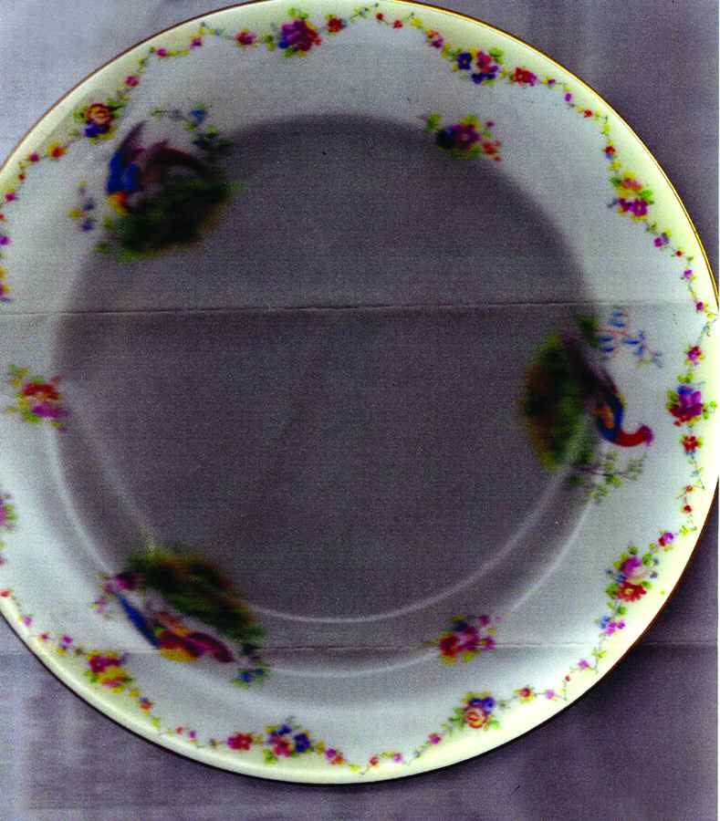 X455 Dinner Plate by Royal Doulton-1