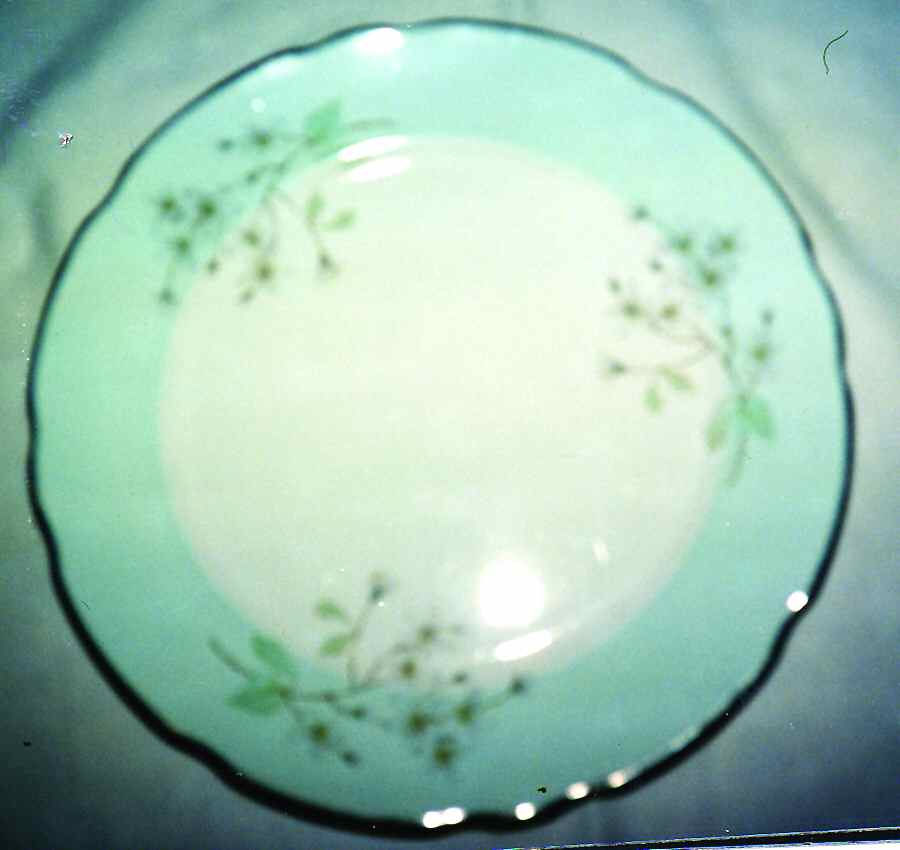 RST121 Dinner Plate by Royal Stafford-1