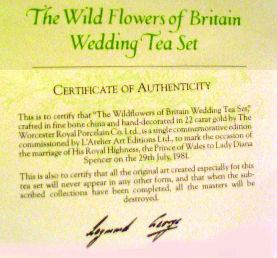 Wild Flowers of Britain Teapot & Lid by Royal Worcester-1