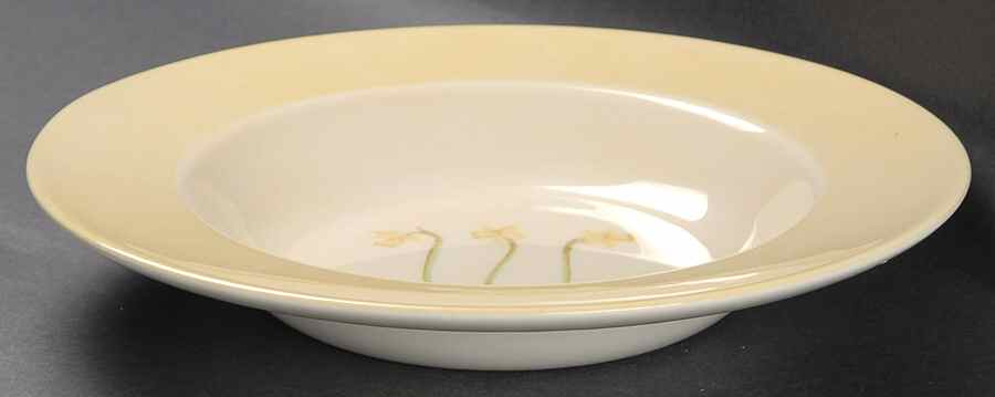 Simplicity Yellow Large Rim Soup Bowl by Royal Stafford-1