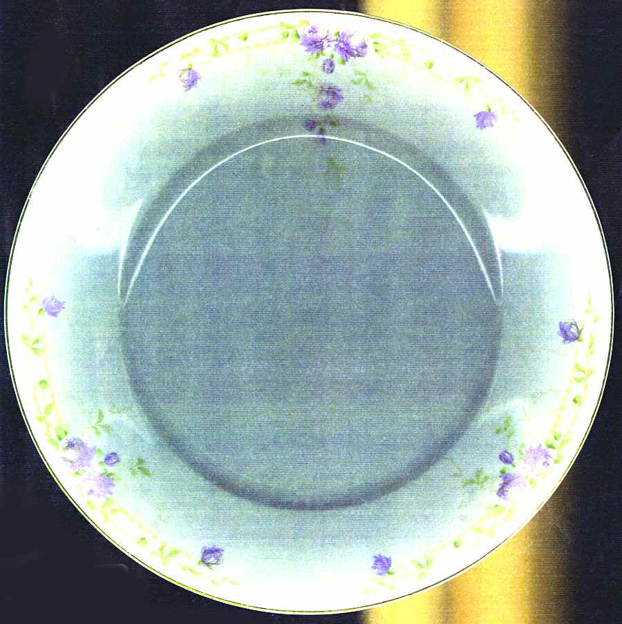 9067 Dinner Plate by Rosenthal - Continental-1