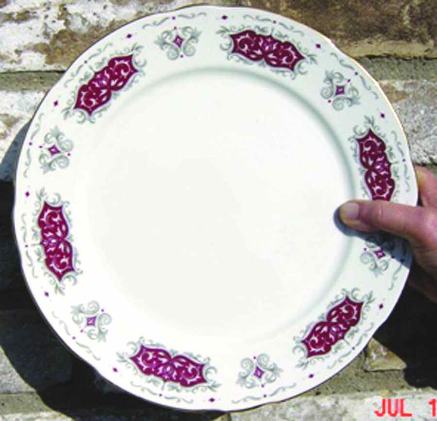 Runnymede Red Dinner Plate by Royal Stafford-1
