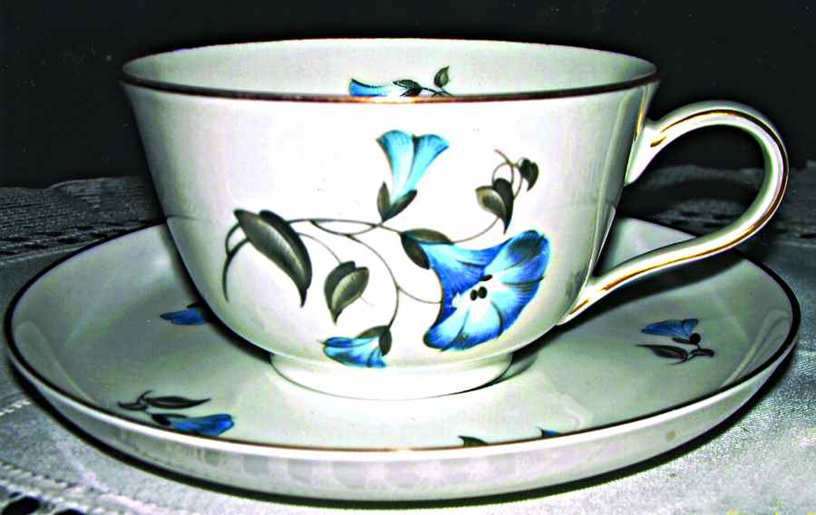 R1664 Flat Cup & Saucer Set by Rosenthal - Continental-1