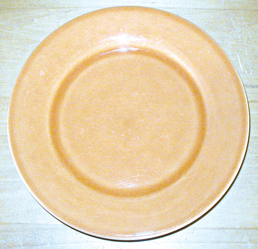 RMP2 Dinner Plate by Roma (Portugal)-1