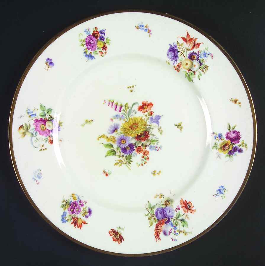 ROC169 Dinner Plate by Royal Cauldon-1