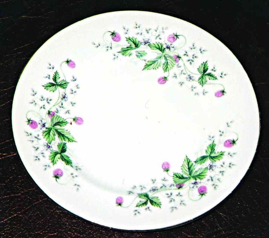 RSD53 Dinner Plate by Royal Standard-1