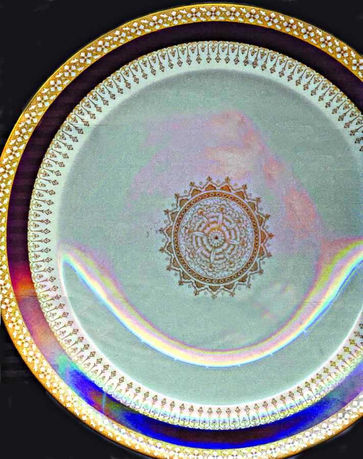 W2038 Dinner Plate by Royal Worcester-1