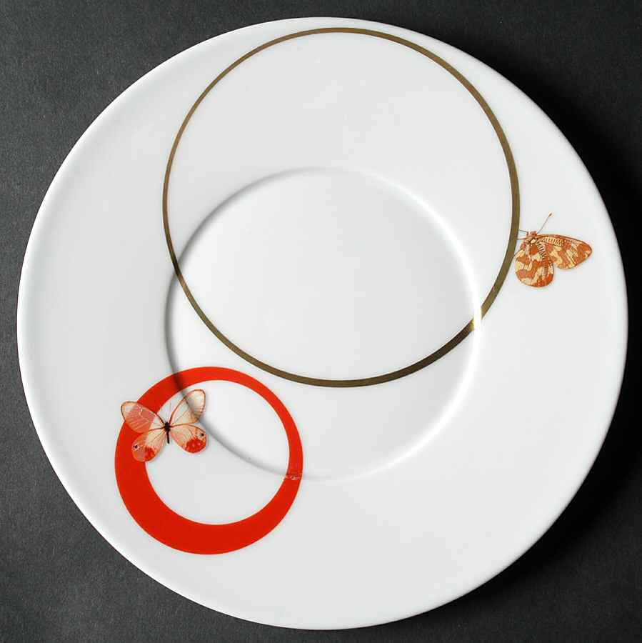 Metamorphoses Salad Plate by Raynaud-1