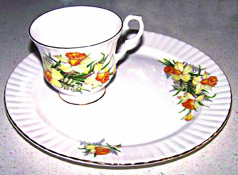 D1787 Snack Plate & Cup Set by Royal Windsor-1