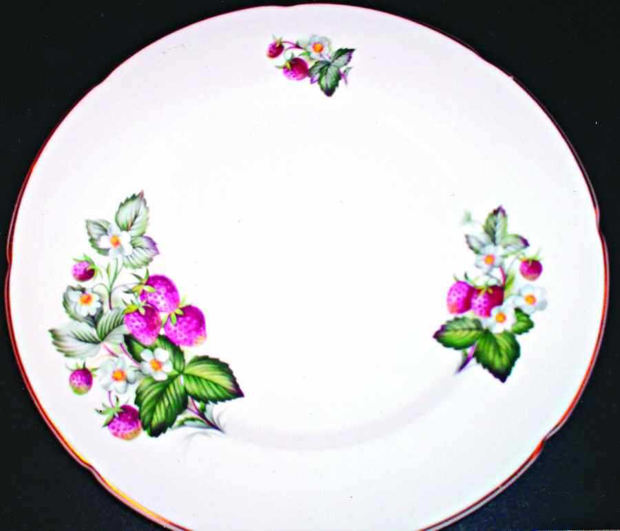 RGR88 Salad Plate by Royal Grafton-1