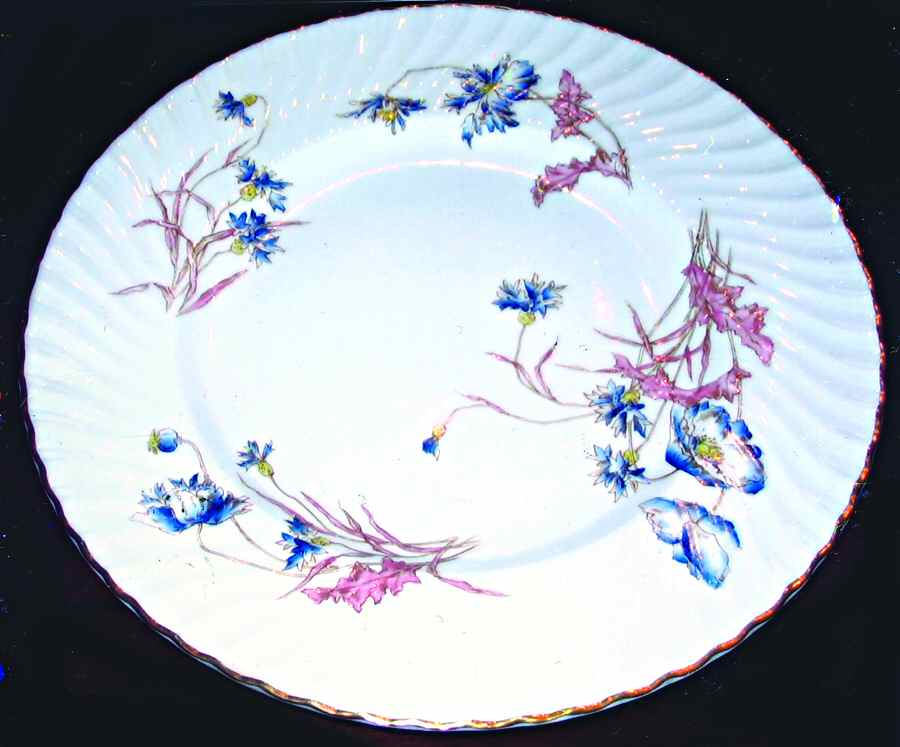 Meadowsweet (Blue&Pink) Dinner Plate by Royal Worcester-1
