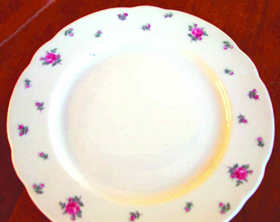 ROJ223 Dinner Plate by Royal Jackson-1