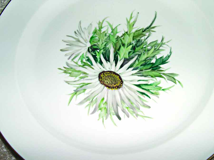 R1697 Dinner Plate by Rosenthal - Continental-1