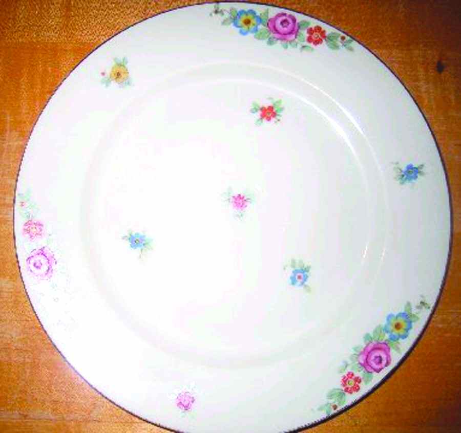 ROB375 Dinner Plate by Royal Bayreuth-1