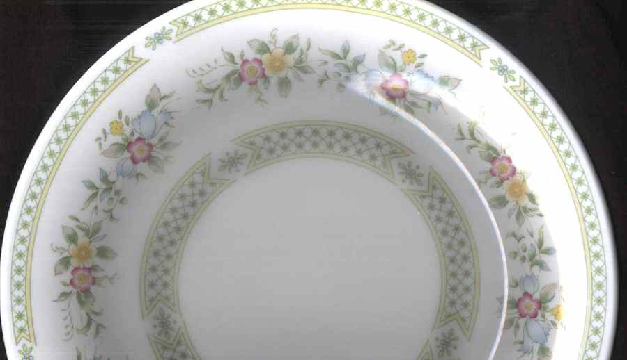 RVA63 Dinner Plate by Royal Vale-1