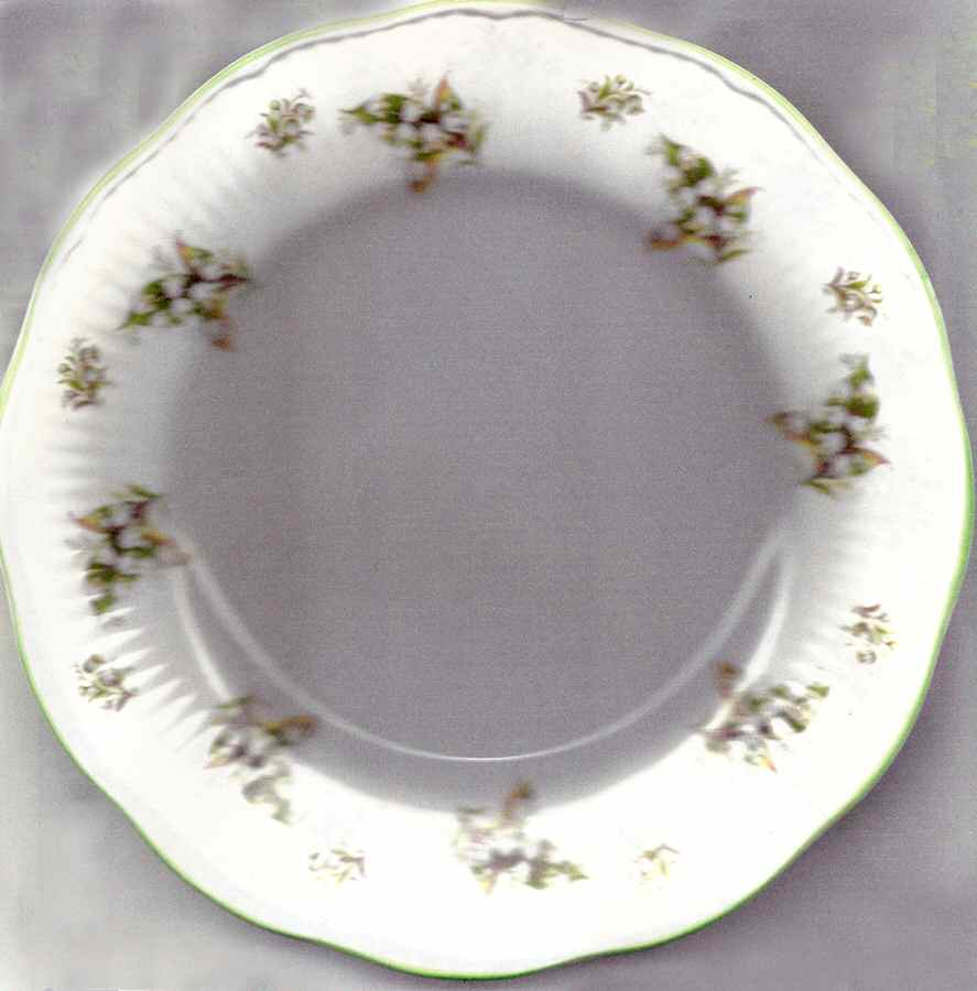 RDO9 Salad Plate by Royal Dover-1