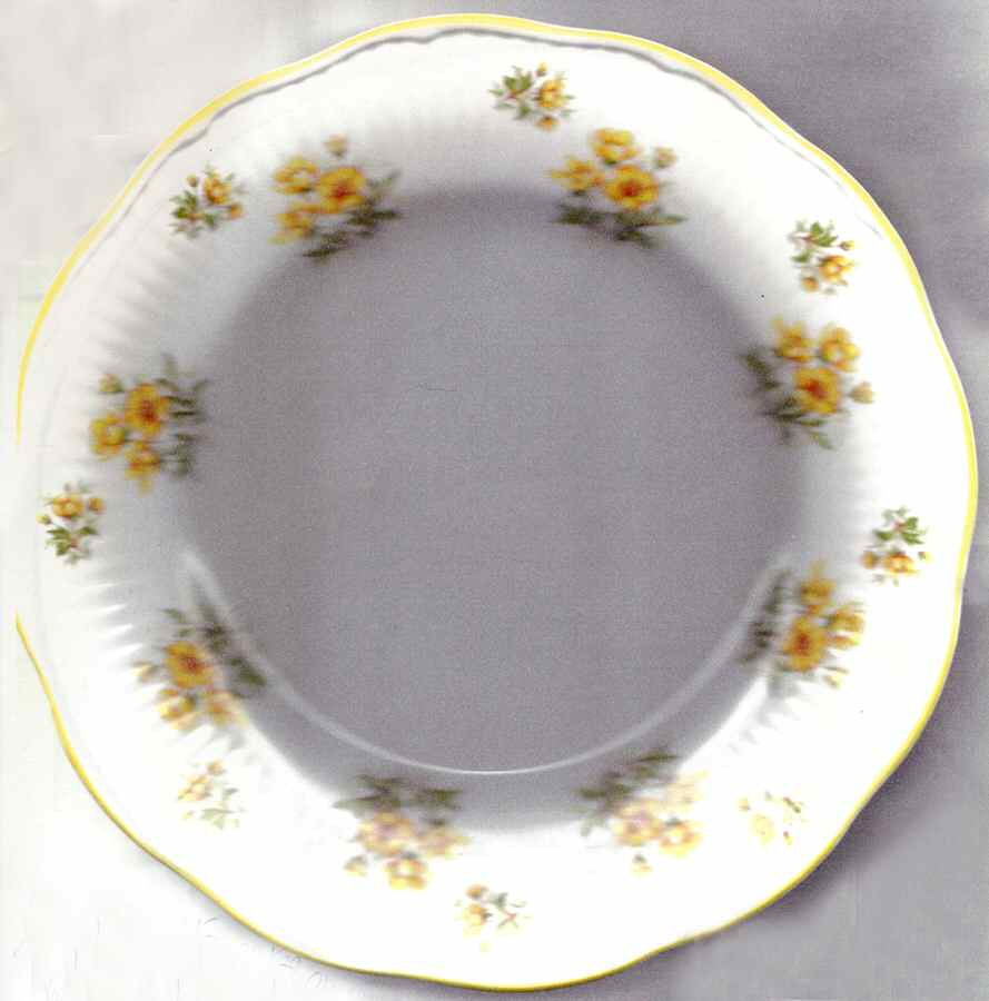 RDO9 Salad Plate by Royal Dover-1