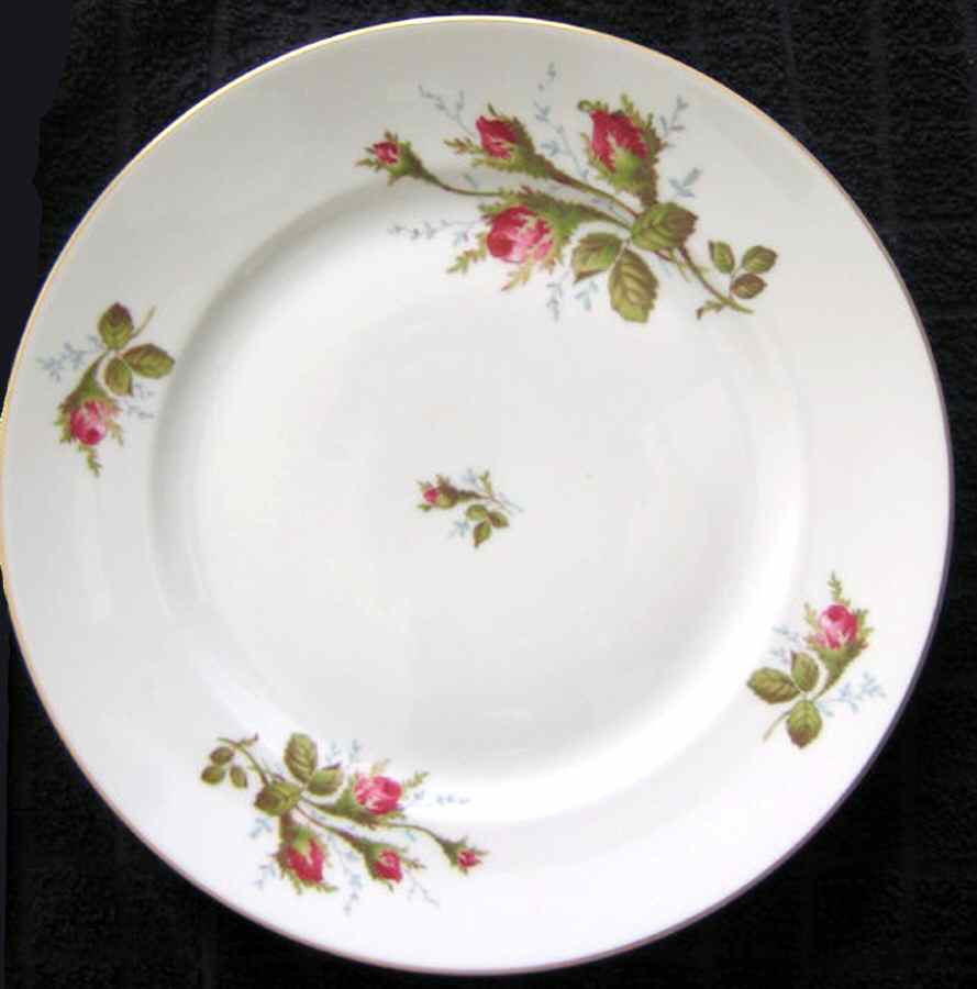 R1716 Dinner Plate by Rosenthal - Continental-1