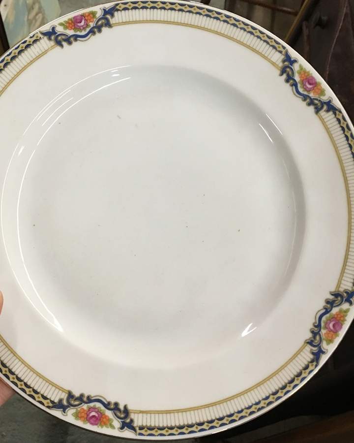 ROB378 Dinner Plate by Royal Bayreuth-1