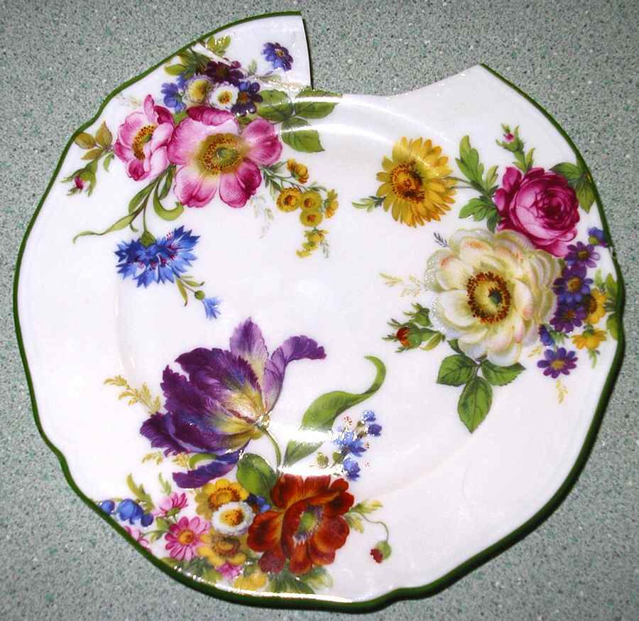 Garden Patch Dinner Plate by Rochard-1
