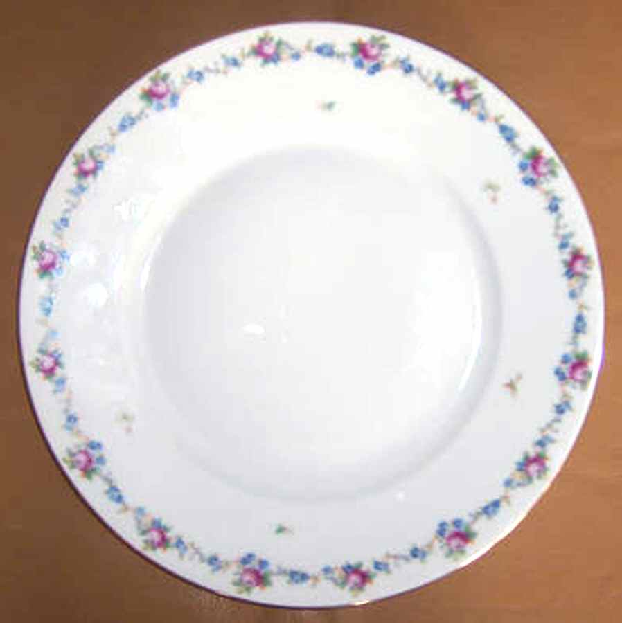 ROT251 Dinner Plate by Royal Tettau-1