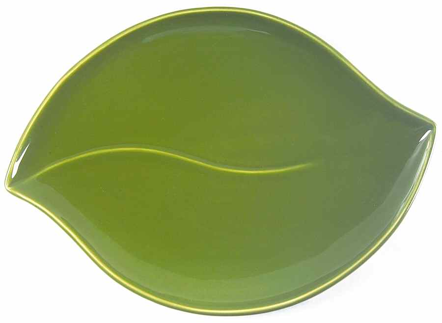 Bay Leaves Dark Green 14" Oval Serving Platter by Royal Doulton-1